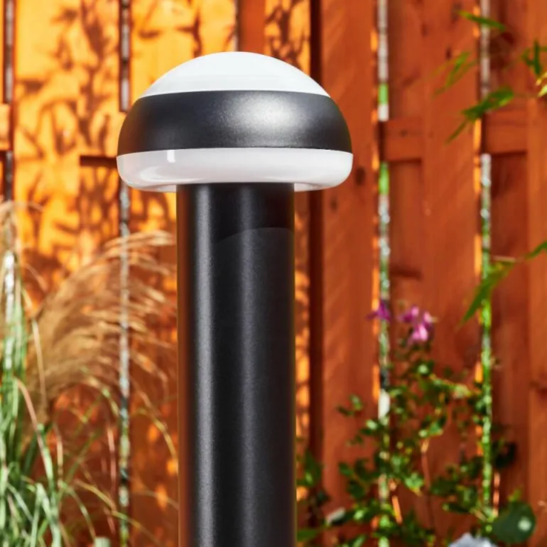 Borne lumineuse Vinara LED Noir, 1 lumière