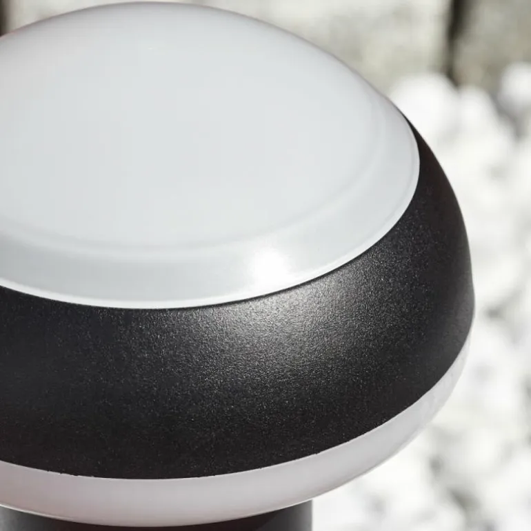 Borne lumineuse Vinara LED Noir, 1 lumière