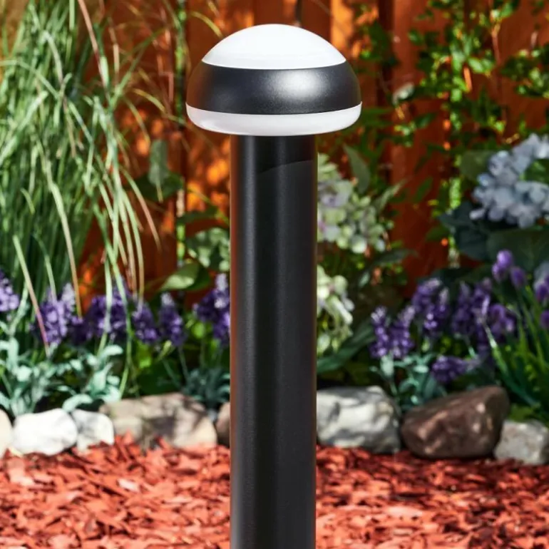 Borne lumineuse Vinara LED Noir, 1 lumière