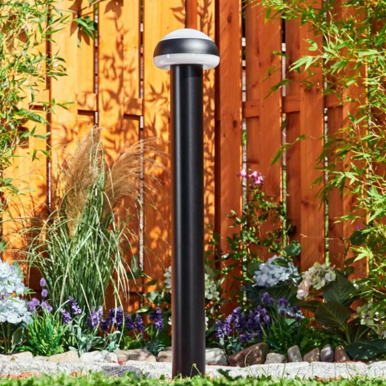 Borne lumineuse Vinara LED Noir, 1 lumière