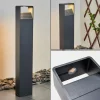 Borne lumineuse Dubona LED Anthracite, 1 lumière