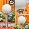 Borne lumineuse Enara Nickel mat, 1 lumière