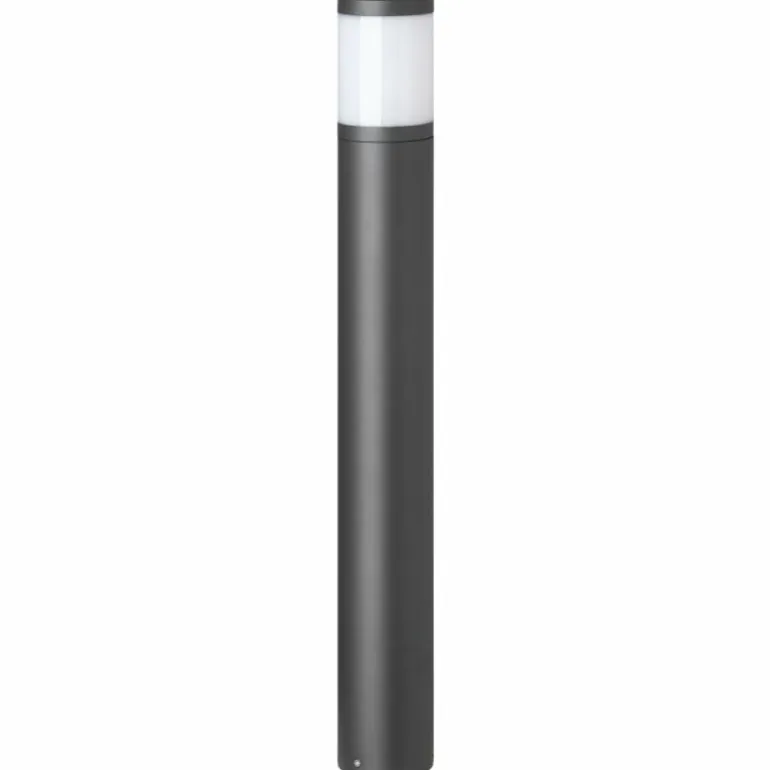 Borne lumineuse LCD 5059 Noir, 1 lumière