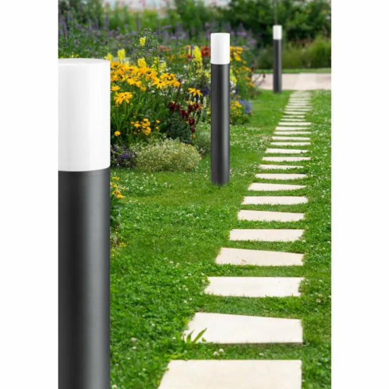 Borne lumineuse LCD Lusen Gris, 1 lumière