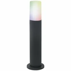 Borne lumineuse LEDVANCE Smart+ Gris, 1 lumière