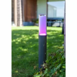 Borne lumineuse Lutec DROPA LED Anthracite, 1 lumière, Changeur de couleurs
