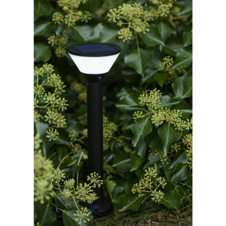 Borne lumineuse Lutec KARLO LED Noir, 1 lumière, Détecteur de mouvement, Changeur de couleurs
