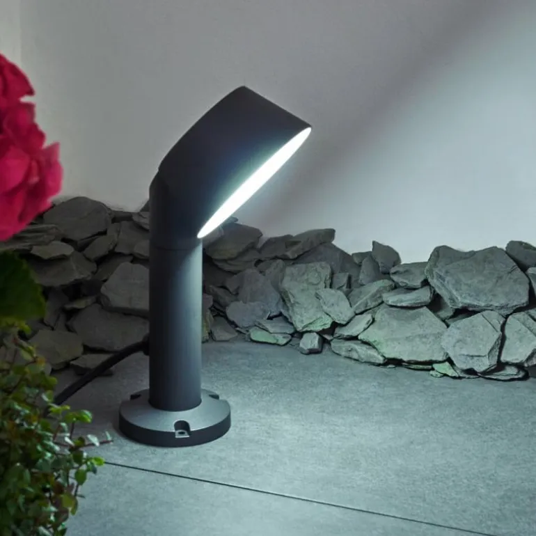 Borne lumineuse Moroni LED Anthracite, 1 lumière