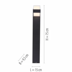 Borne lumineuse Paul-Neuhaus CARA LED Anthracite, 2 lumières