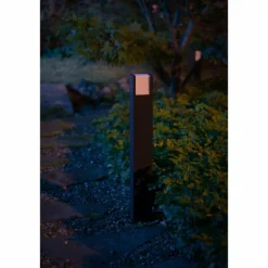 Borne lumineuse Philips Hue White Fuzo LED Noir, 1 lumière