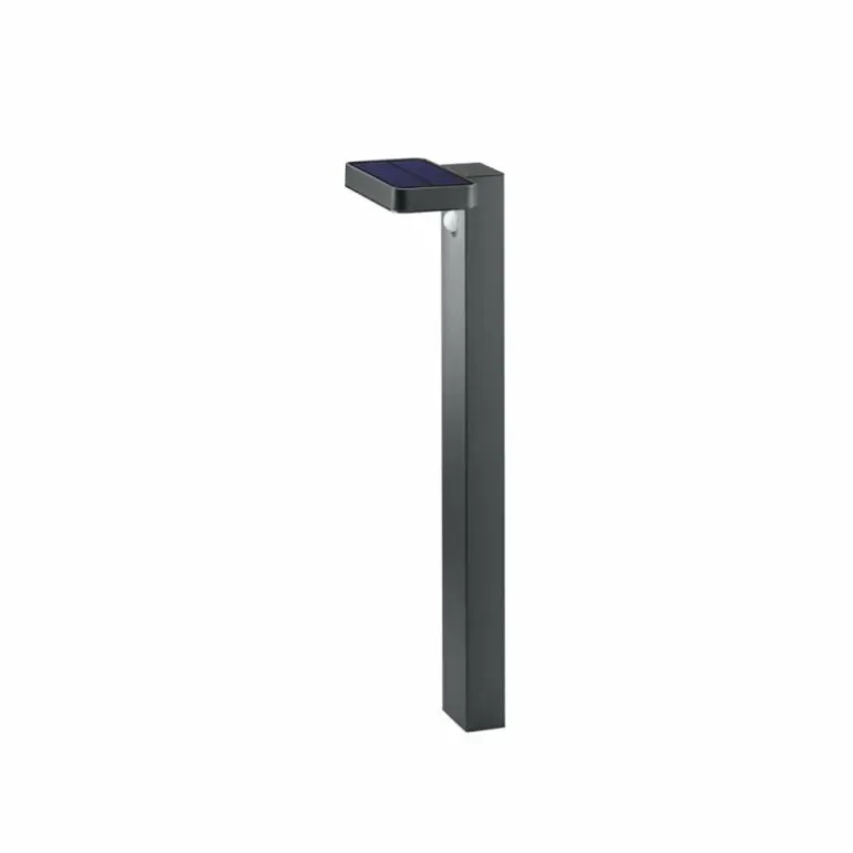 Borne lumineuse Reality Esquel LED Anthracite, 1 lumière, Détecteur de mouvement