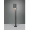 Borne lumineuse Trio Avon LED Anthracite, 1 lumière