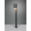 Borne lumineuse Trio Avon LED Anthracite, 1 lumière, Détecteur de mouvement
