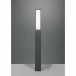 Borne lumineuse Trio Fuerte LED Anthracite, 1 lumière