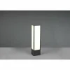 Borne lumineuse Trio Fuerte LED Anthracite, 1 lumière