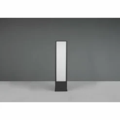 Borne lumineuse Trio Fuerte LED Anthracite, 1 lumière