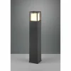 Borne lumineuse Trio Witham LED Anthracite, 1 lumière