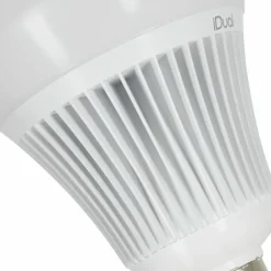 Candal E27 LED RGB 16 watt 2200-6500 Kelvin 806 lumen avec télécommande