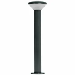 Endura Lampadaire d'extérieur Luminaires Ledvance LED Gris, 1 lumière