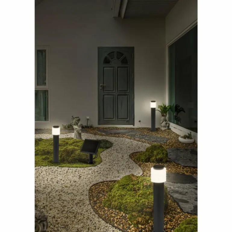 Endura Lampadaire d'extérieur Luminaires Ledvance LED Gris, 1 lumière
