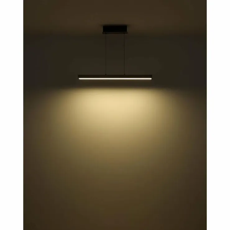 Luminaires Globo Lighting Éclairage Led|Ethan Suspension LED Gris, 1 lumière