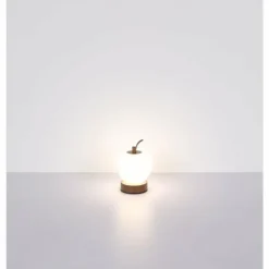 Luminaires Globo Lighting Éclairage Led|Evalina Lampe à poser LED Brun, 1 lumière