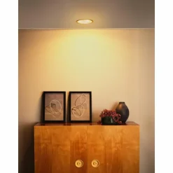 Luminaires Ledvance Downlights|Filament Downlight LED Aluminium, 1 lumière