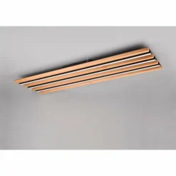 Luminaires Trio Éclairage Led|Fontana Plafonnier LED Noir, 1 lumière