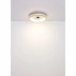Gatian Ventilateur de plafond lumineux Luminaires Globo Lighting LED Brun foncé, Blanc, 1 lumière, Télécommandes