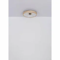 Gatian Ventilateur de plafond lumineux Luminaires Globo Lighting LED Brun foncé, Blanc, 1 lumière, Télécommandes