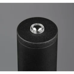 Luminaires Reality Éclairage Led|Gomez Lampadaire LED Noir, 1 lumière