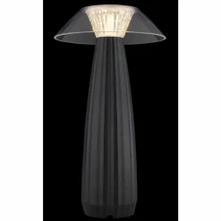Luminaires Globo Lighting Éclairage Led|Illumi Lampe à poser LED Noir, 1 lumière