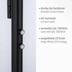 Luminaires Leuchten Direkt Éclairage Led|Lampadaire à vasque Leuchten-Direkt HANS LED Noir, 2 lumières