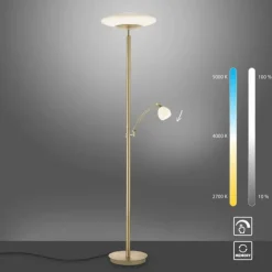 Luminaires Paul Neuhaus Éclairage Led|Lampadaire à vasque Paul Neuhaus TROJA LED Laiton, 1 lumière
