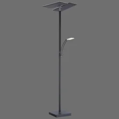 Luminaires Paul Neuhaus Éclairage Led|Lampadaire à vasque Paul Neuhaus ARTUR LED Anthracite, 1 lumière