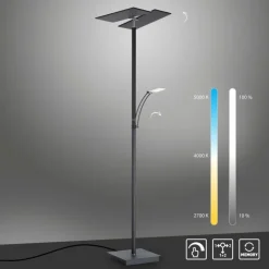 Luminaires Paul Neuhaus Éclairage Led|Lampadaire à vasque Paul Neuhaus ARTUR LED Anthracite, 1 lumière