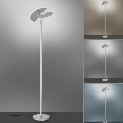 Luminaires Paul Neuhaus Lampadaires Et Lampes Sur Pied|Lampadaire à vasque Paul Neuhaus PURE-MUTIL LED Acier brossé, 2 lumières