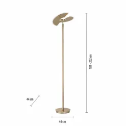 Luminaires Paul Neuhaus Éclairage Led|Lampadaire à vasque Paul Neuhaus PURE-MUTIL LED Laiton, 2 lumières