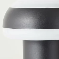 Lampadaire d'extérieur Brilliant Ilton LED Noir, 1 lumière