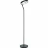 Lampadaire Eglo MARGHERA LED Noir, 1 lumière, Changeur de couleurs