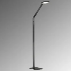 Luminaires Fischer & Honsel Lampadaires Et Lampes Sur Pied|Lampadaire Fischer & Honsel Rike LED Noir, 1 lumière