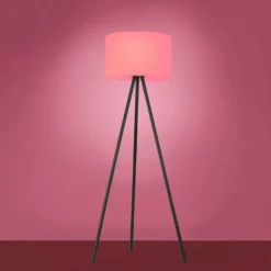 Lampadaire Leuchten Direkt HOLLY LED Noir, 1 lumière, Changeur de couleurs