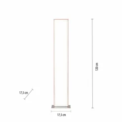 Luminaires Leuchten Direkt Éclairage Led|Lampadaire Leuchten-Direkt FELIX60 LED Acier brossé, 2 lumières, Télécommandes, Changeur de couleurs