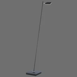 Luminaires Paul Neuhaus Éclairage Led|Lampadaire Paul Neuhaus PURE-MIRA LED Noir, 1 lumière, Télécommandes