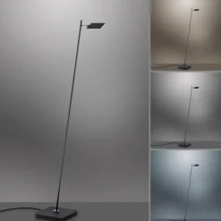 Luminaires Paul Neuhaus Éclairage Led|Lampadaire Paul Neuhaus PURE-MIRA LED Noir, 1 lumière, Télécommandes