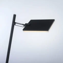 Luminaires Paul Neuhaus Éclairage Led|Lampadaire Paul Neuhaus PURE-MIRA LED Noir, 1 lumière, Télécommandes
