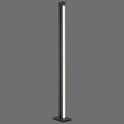 Luminaires Paul Neuhaus Éclairage Led|Lampadaire Paul Neuhaus PURE-LINES LED Anthracite, 1 lumière, Télécommandes