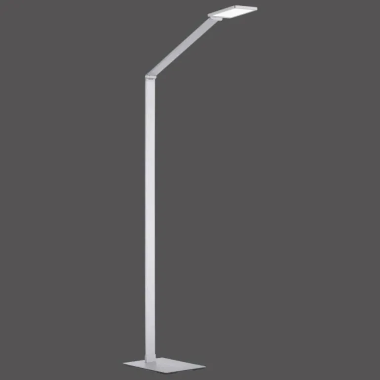 Lampadaire Paul Neuhaus Q-HANNES LED Argenté, 1 lumière, Télécommandes