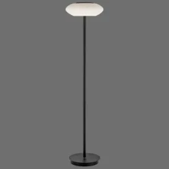 Lampadaire Paul Neuhaus Q-ETIENNE LED Noir, 1 lumière, Télécommandes