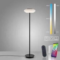 Lampadaire Paul Neuhaus Q-ETIENNE LED Noir, 1 lumière, Télécommandes